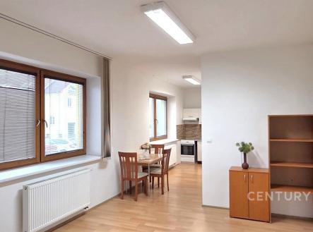 . | Pronájem bytu, 1+kk, 54 m²