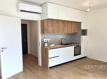 . | Pronájem bytu, 1+kk, 36 m²