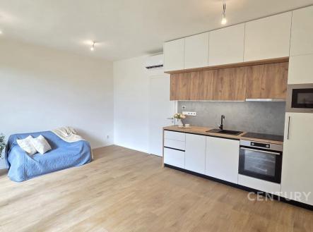 Pronájem bytu, 1+kk, 36 m²