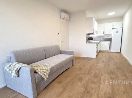 . | Pronájem bytu, 2+kk, 53 m²