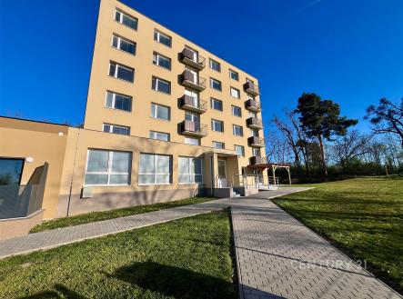 Moderní bytový dům s velkými okny, rekonstruovanou fasádou a prostornými balkony ve světlém odstínu, obklopený zelení a zpevněným chodníkem. | Pronájem bytu, 3+1, 73 m²