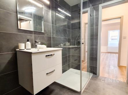 . | Pronájem bytu, 3+kk, 55 m²