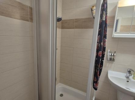 20250718-152207.jpg | Pronájem bytu, 2+kk, 43 m²