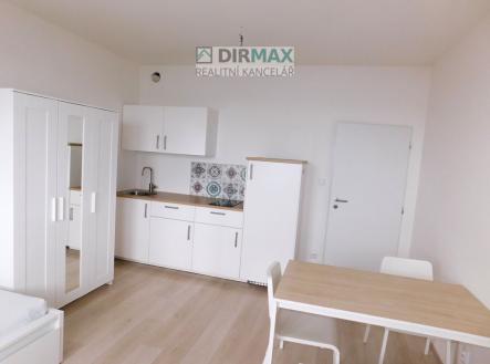 dscn0004.jpg | Pronájem bytu, 1+kk, 28 m²