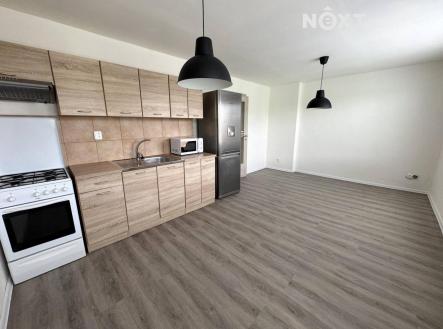 Pronájem bytu, 1+1, 57 m²