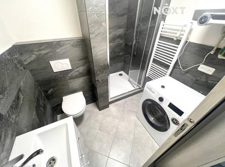 Pronájem bytu, 1+1, 57 m²