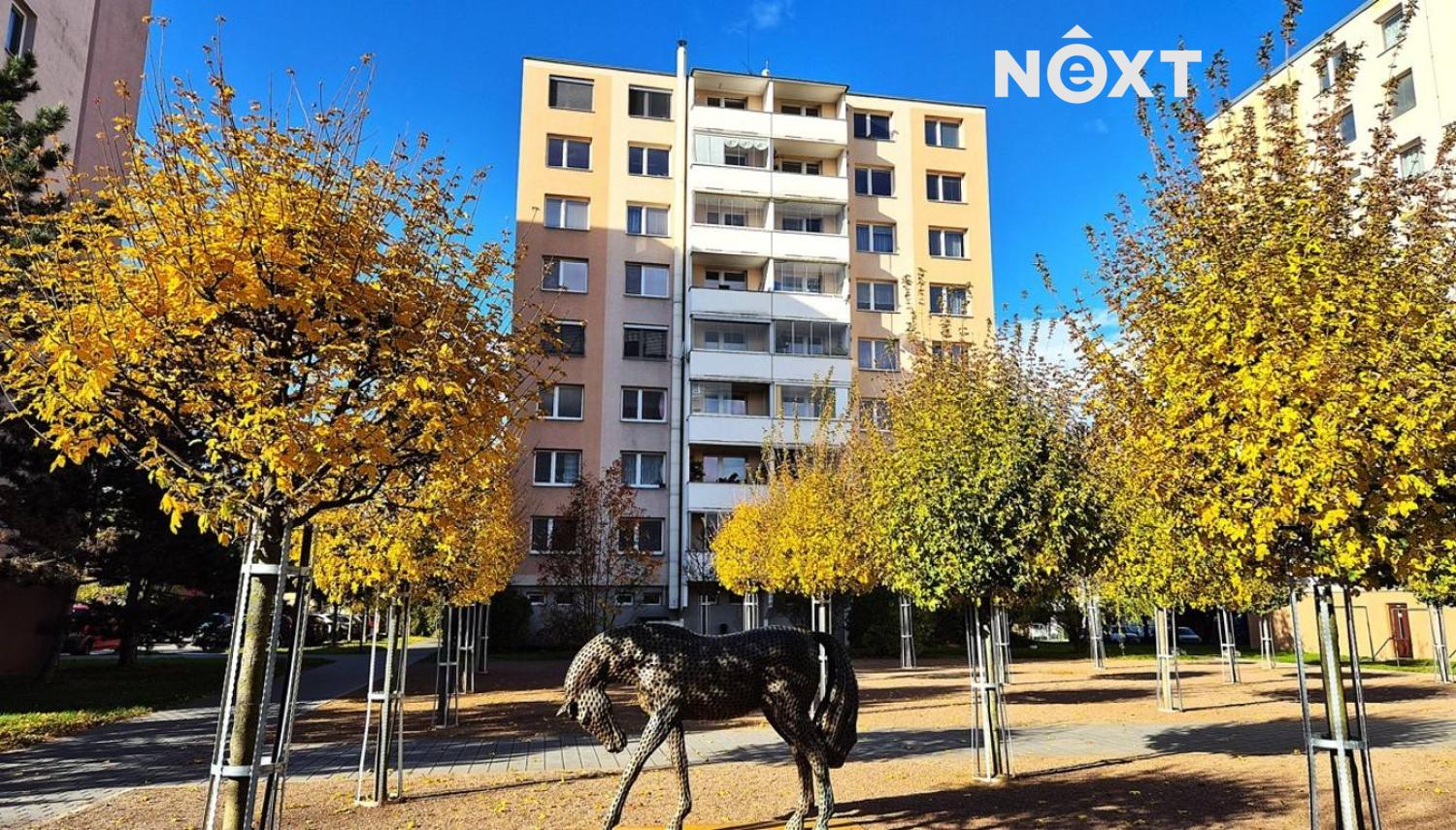 Pronájem byt 1+kk, 29㎡