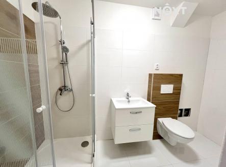 Pronájem bytu, 4+1, 100 m²