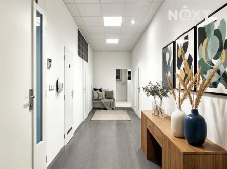 Pronájem - kanceláře, 194 m²