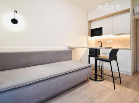 Pronájem bytu, 1+kk, 18 m²