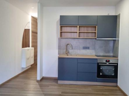 Pronájem bytu, 1+kk, 31 m²
