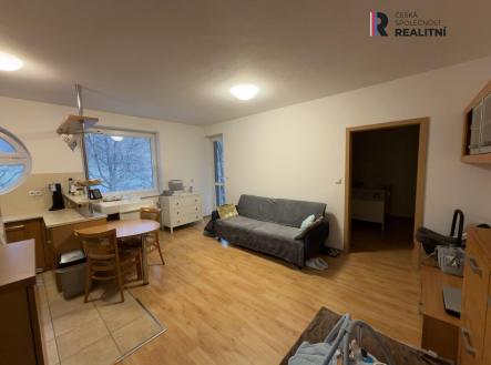 Pronájem bytu, 2+kk, 49 m²