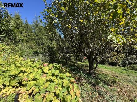 img-4967.jpeg | Prodej - chata/rekreační objekt, 30 m²