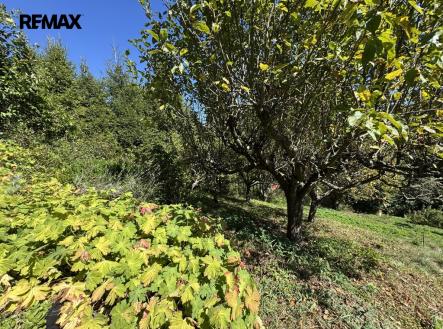 img-4967.jpeg | Prodej - chata/rekreační objekt, 30 m²