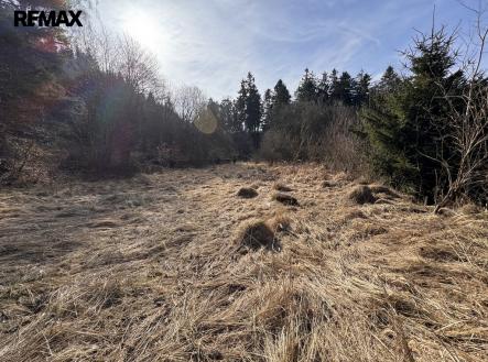 img-7220.jpeg | Prodej - pozemek pro bydlení, 3 780 m²