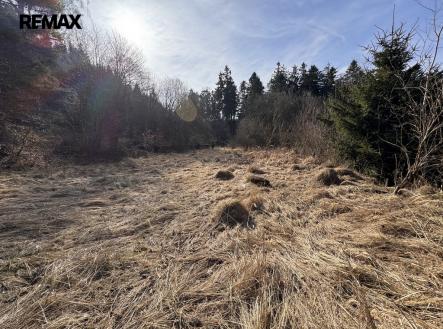 Prodej - pozemek pro bydlení, 3 780 m² obrázek