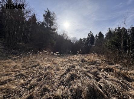 img-7219.jpeg | Prodej - pozemek pro bydlení, 3 780 m²