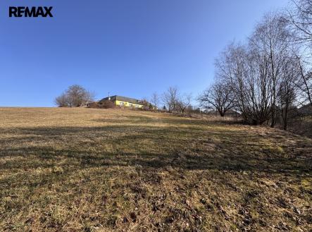 Hroní část pozemku | Prodej - pozemek pro bydlení, 4 000 m²