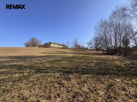 Hroní část pozemku | Prodej - pozemek pro bydlení, 4 000 m²