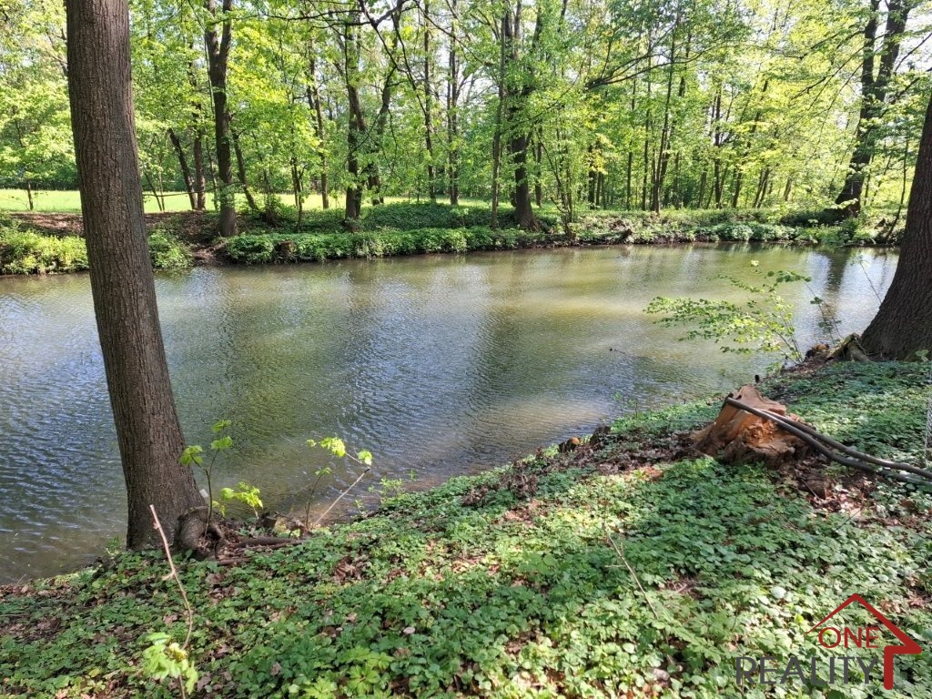 Rybnik Rychlov1