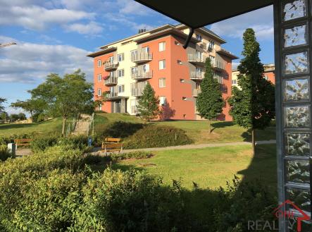 IMG_1477 | Pronájem bytu, 2+kk, 55 m²