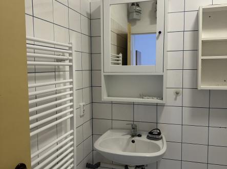 IMG_5312 | Pronájem bytu, 1+kk, 35 m²