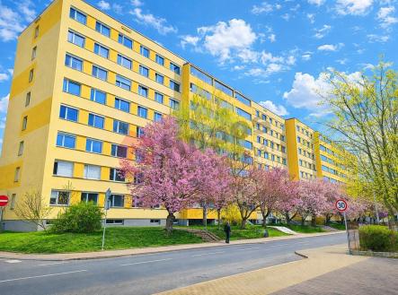 Prodej bytu, 2+kk, 40 m²