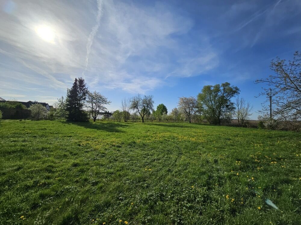 Stavební pozemek Renoty 1 005 m2