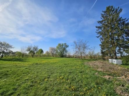 Prodej - pozemek pro bydlení, 1 185 m²