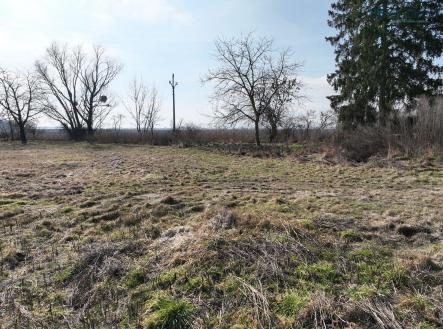 Prodej - pozemek pro bydlení, 1 185 m²