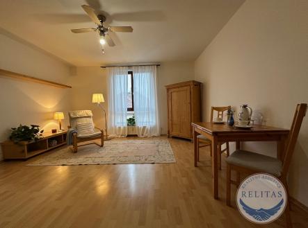 fotografie nemovitosti č. 1 | Pronájem bytu, 1+kk, 31 m²