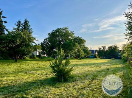 fotografie nemovitosti č. 3 | Prodej - pozemek pro bydlení, 3 004 m²