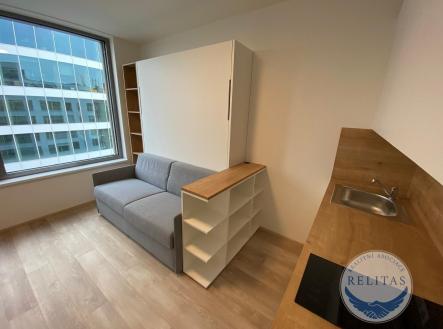 fotografie nemovitosti č. 2 | Pronájem bytu, 1+kk, 20 m²