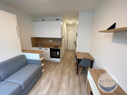 fotografie nemovitosti č. 3 | Pronájem bytu, 1+kk, 20 m²
