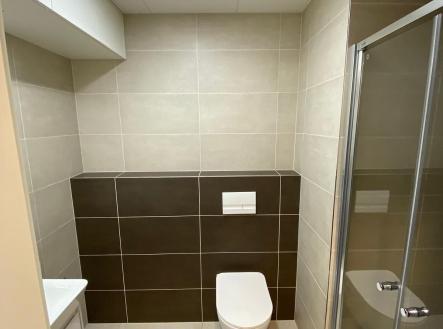 fotografie nemovitosti č. 4 | Pronájem bytu, 1+kk, 20 m²