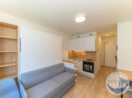 fotografie nemovitosti č. 2 | Pronájem bytu, 1+kk, 20 m²