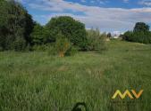 Prodej - pozemek, trvalý travní porost, 5 858 m²