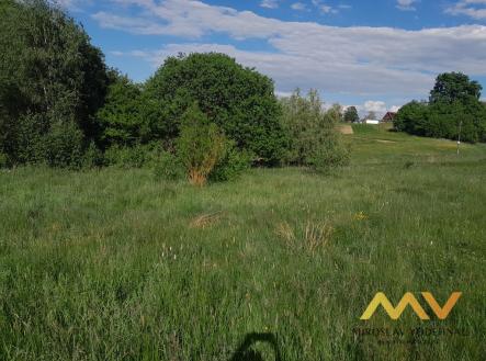 Prodej - pozemek, trvalý travní porost, 5 858 m² obrázek