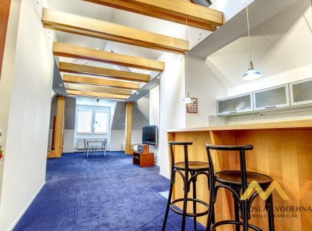 Pronájem bytu, 1+kk, 98 m²