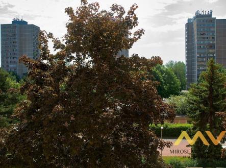 Pronájem bytu, 1+kk, 40 m²