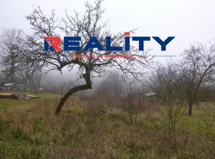 Prodej - pozemek, ostatní, 2 656 m²