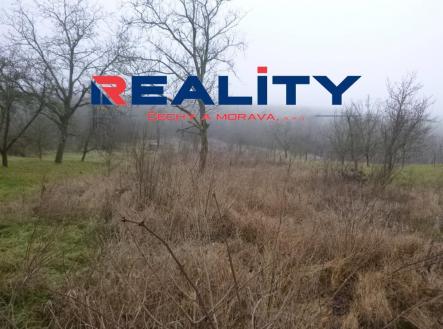 Prodej - pozemek, ostatní, 2 656 m²