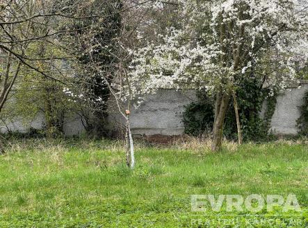 Zahrada se vzrostlými stromy, květinami a trávníkem, ideální pro rekreační využití nebo zahradničení, nachází se v klidné části pozemku. | Prodej - pozemek, zahrada, 1 441 m²