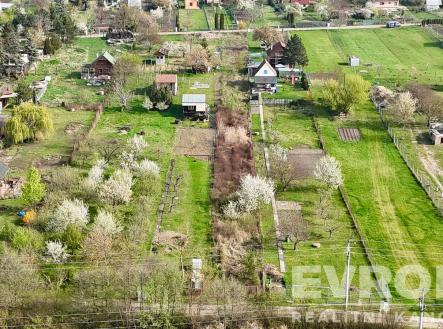 Pohled na rozlehlé zahrady s kvetoucími stromy, chatkami a zelenými trávníky. Klidná lokalita nabízí soukromí a prostor pro zahradničení. | Prodej - pozemek, zemědělská půda, 1 539 m²