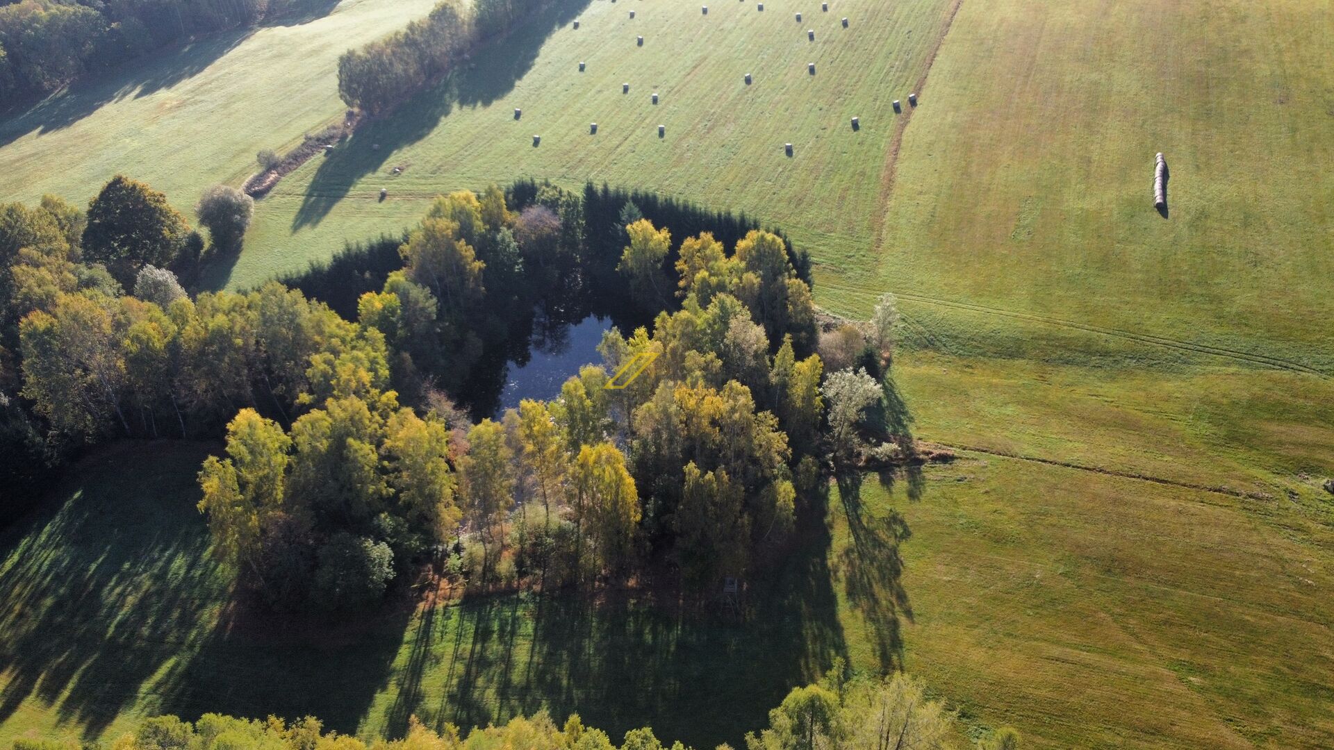 Prodej rybníku s pozemky, Klení, Benešov nad Černou