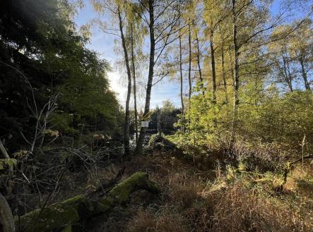 Prodej - pozemek, ostatní, 6 805 m²