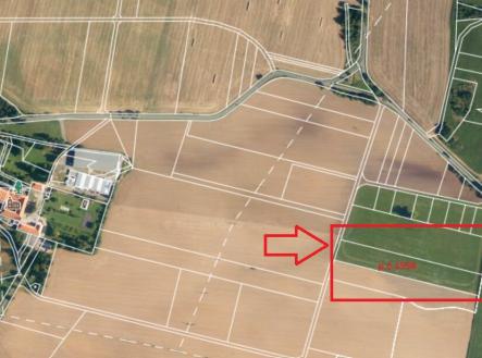 Prodej - pozemek, trvalý travní porost, 10 012 m²