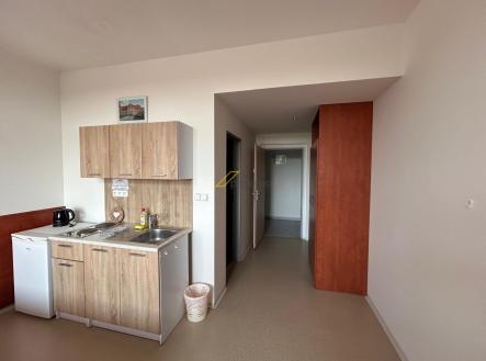 Pronájem bytu, 1+kk, 29 m²