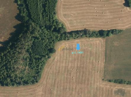 Prodej - pozemek, zemědělská půda, 5 549 m²