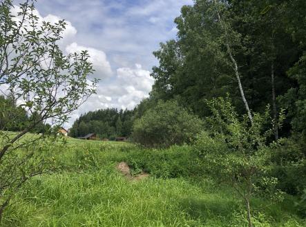 Prodej - pozemek, zemědělská půda, 2 302 m²